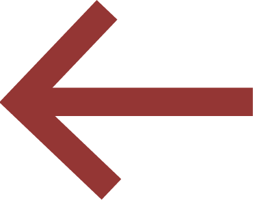 Left Arrow Icon